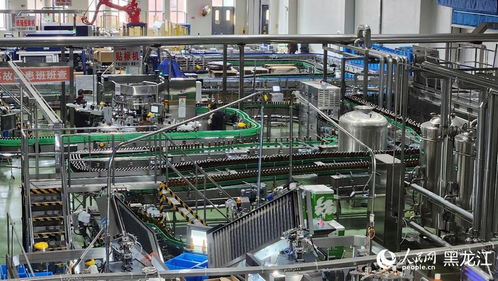 民营企业进边疆，共寻龙江热土发展机遇——生物技术研发的蓝海与担当