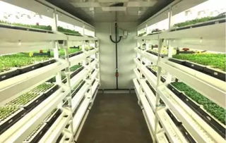 生物科技助力乡村振兴 植物工厂签约落户捞刀河畔田园综合体