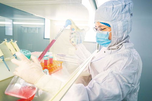 探索生物技术研发新路径 东楚网的创新实践与未来展望