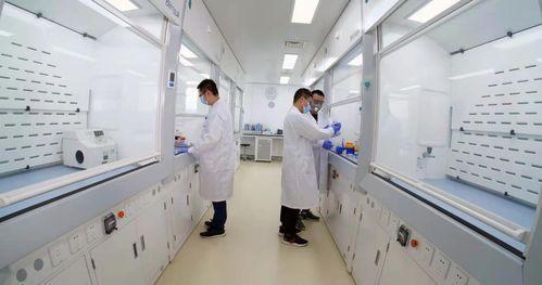 烟台业达孵化中心入孵企业ADC新药申报临床，区域生物技术研发迎来新突破