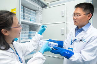 生物科技 驱动药物研发新纪元的创新引擎