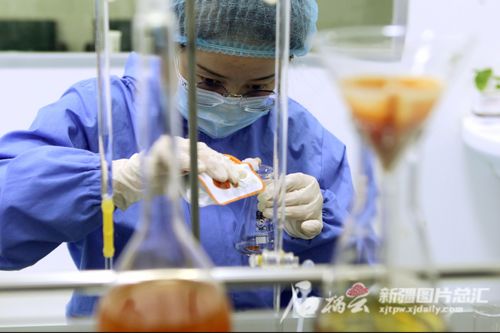 一场源自保温杯的伟大出走——智慧农业与生物技术酿出的新神话