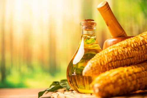 厨房里的视觉艺术 玻璃壶与食用油的摄影之美